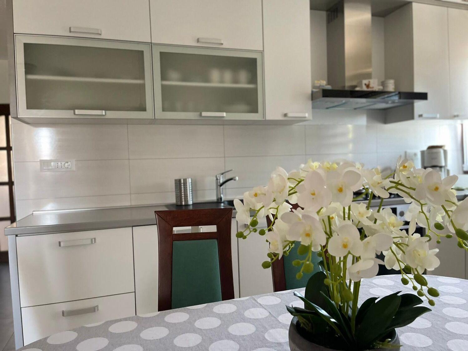 Apartment Bilja Рогозниця Екстер'єр фото